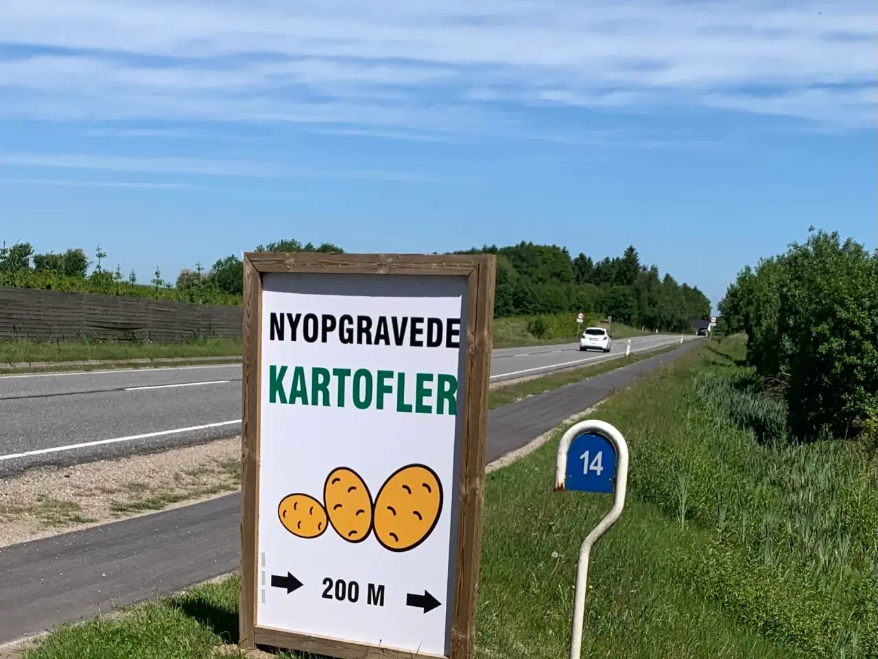 Billede 2 - Nye kartofler