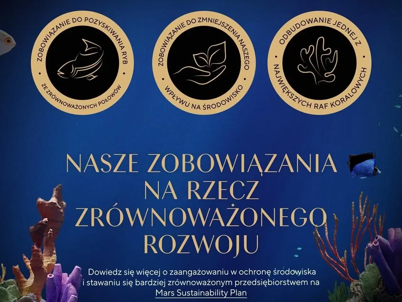 Billede 5 - Vådfoder til kattekillinger Sheba – udvalg i sauce, 40×85 g
