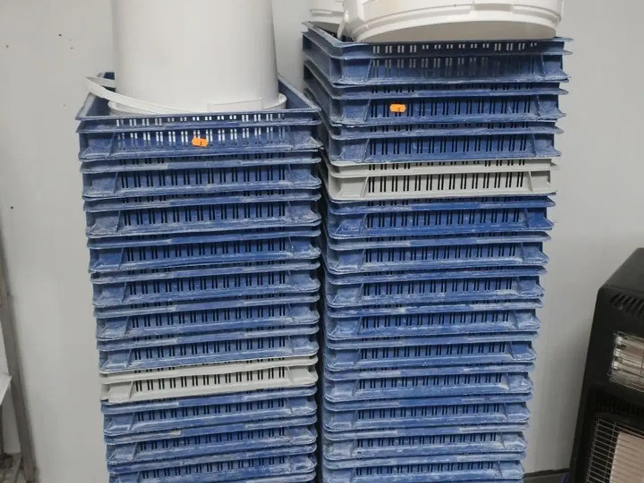 Billede 1 - 38 stk. plastkasser inkl. vogne