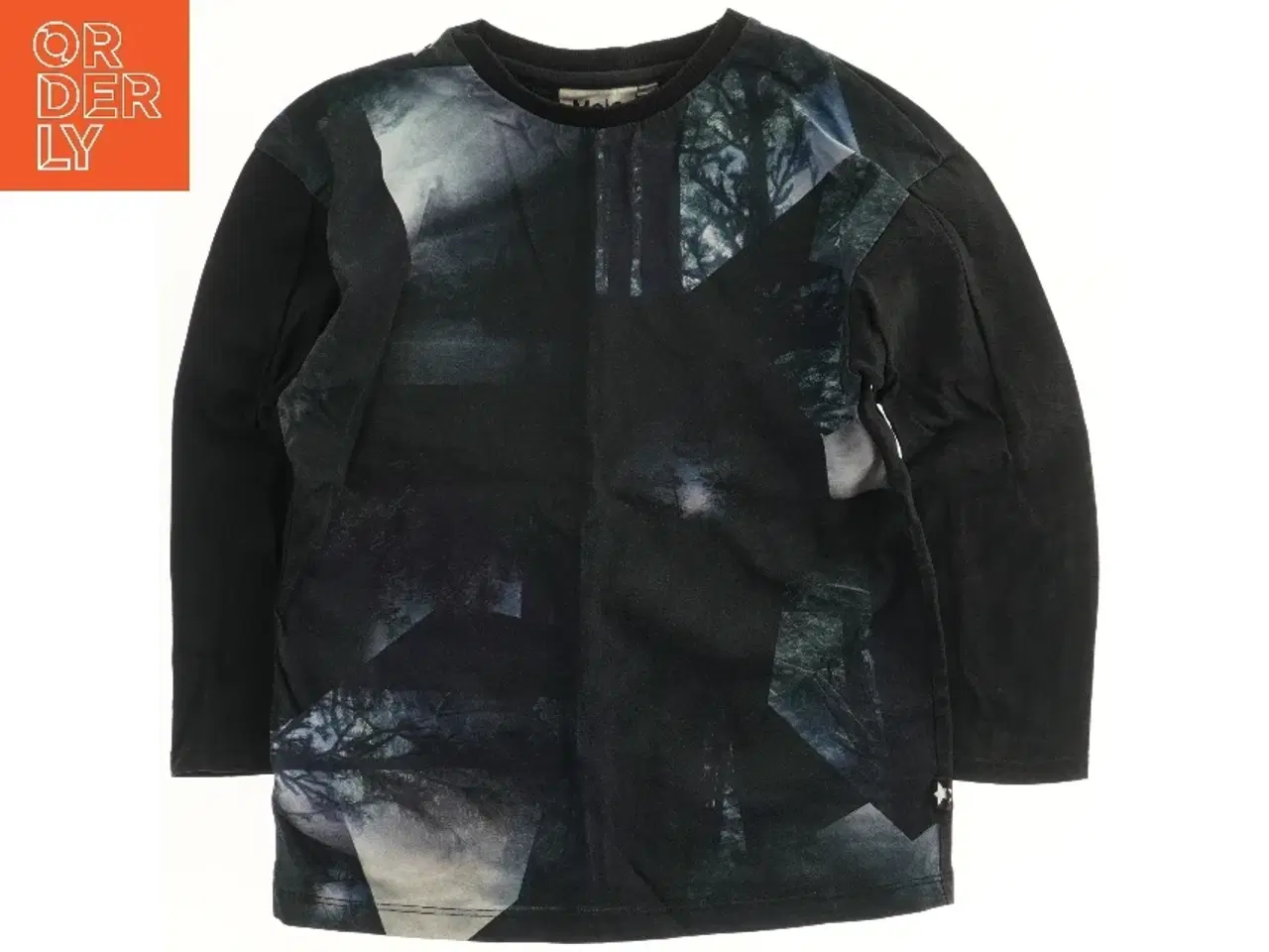 Billede 1 - Langærmet T-Shirt med grafik fra Molo (str. 116)