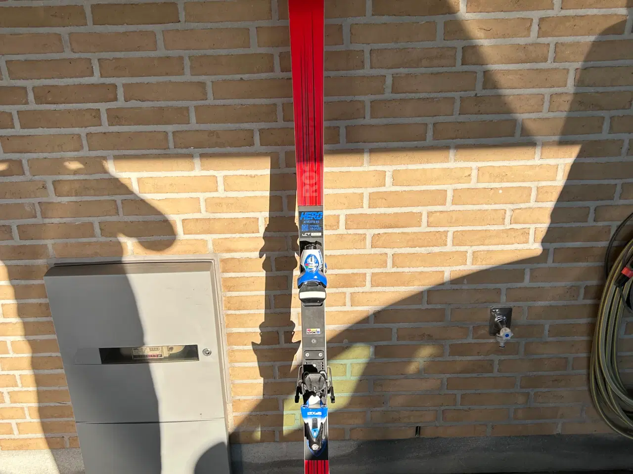 Billede 9 - Rossignol Hero Athlete FIS GS SKI