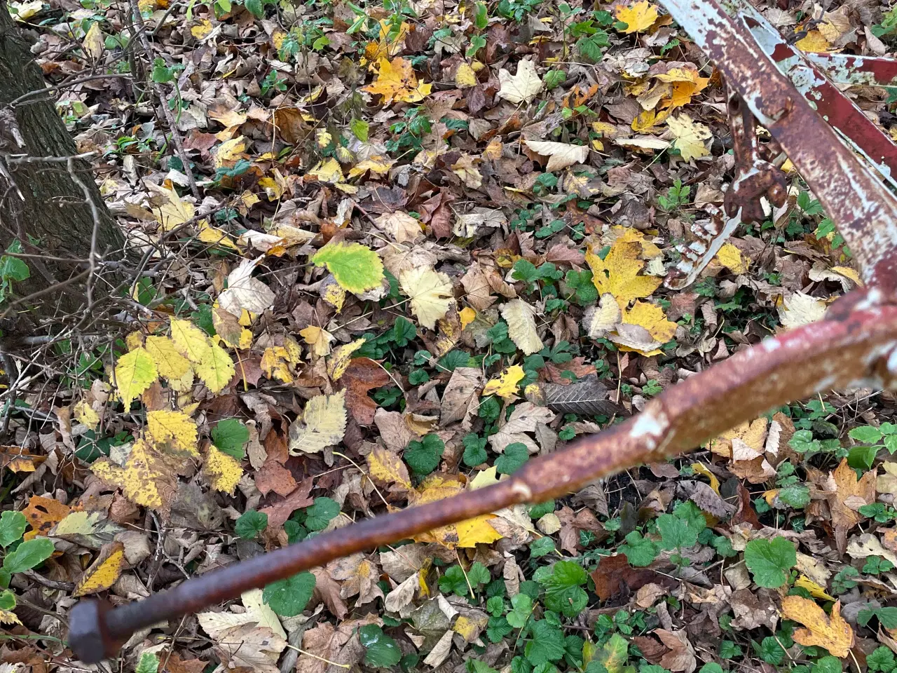 Billede 3 - En’ fuget plov