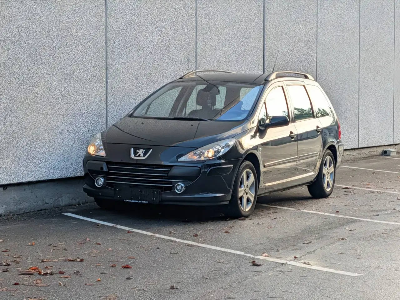 Billede 4 - Peugeot 307 1,6 Complete SW