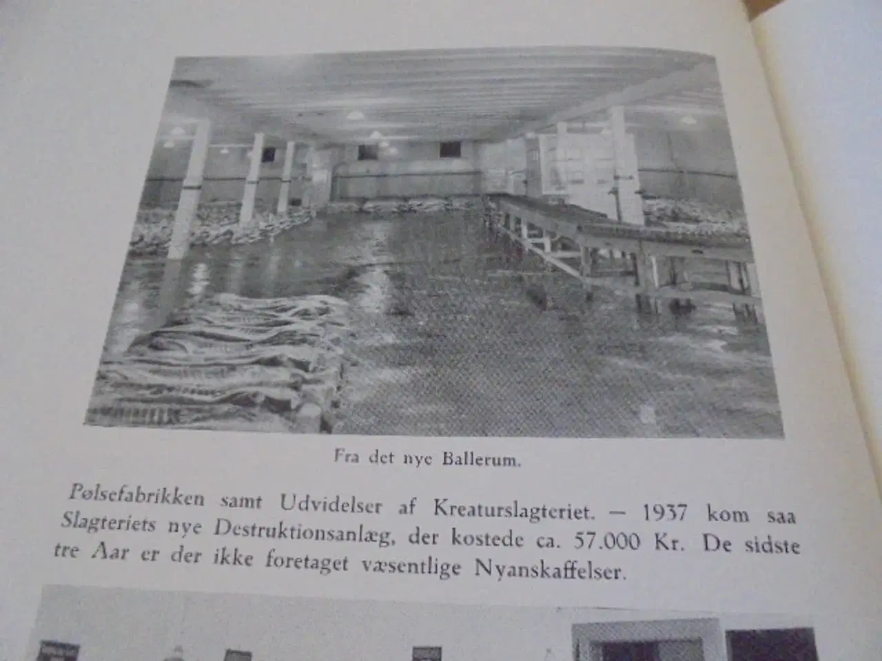Billede 7 - Hjørring amts andels-svineslagteri 1891-1941 