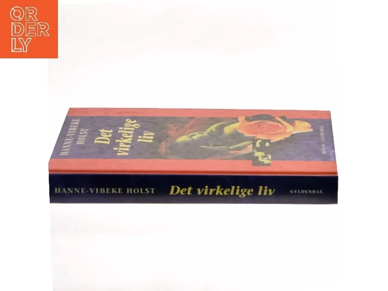 Billede 2 - Det virkelige liv : roman af Hanne-Vibeke Holst (Bog)