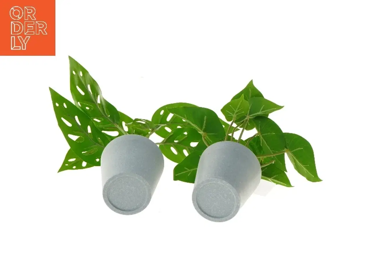 Billede 3 - Dekorative planter i grå potter fra Monstrea (str. 25 cm)