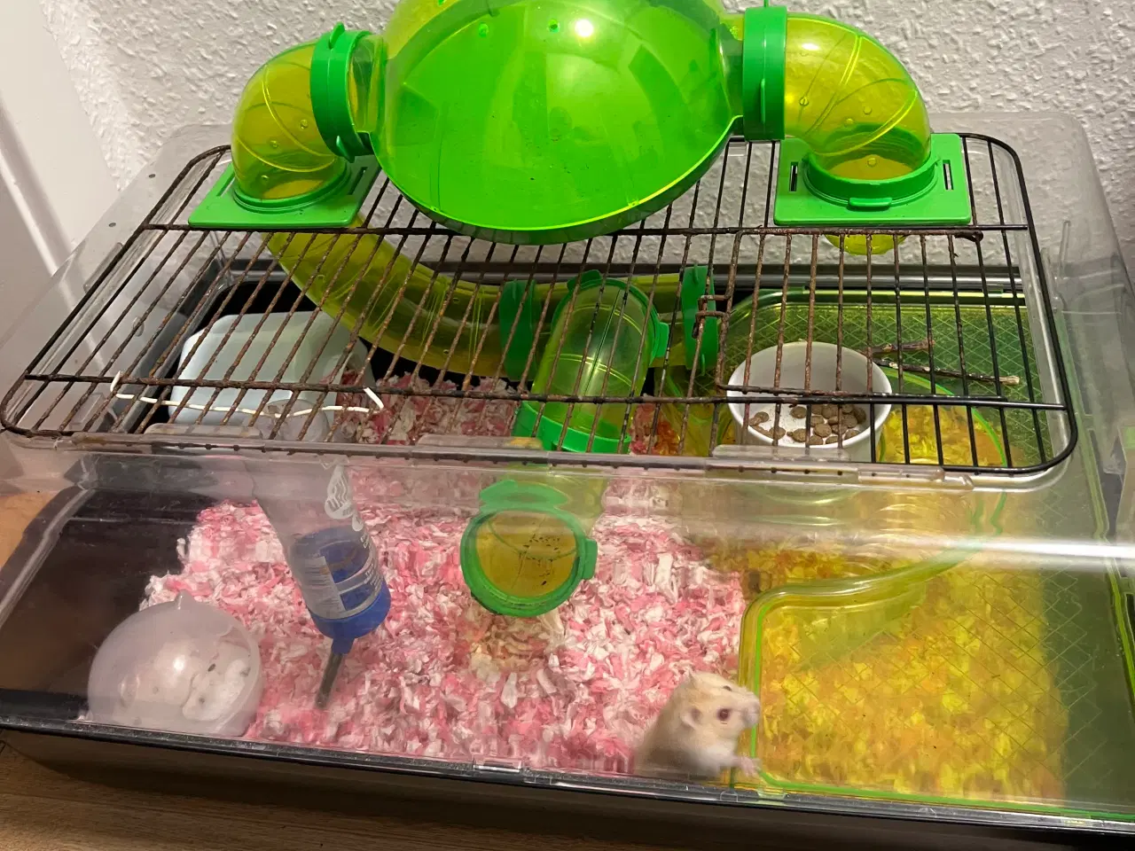 Billede 3 - Hamster med bur