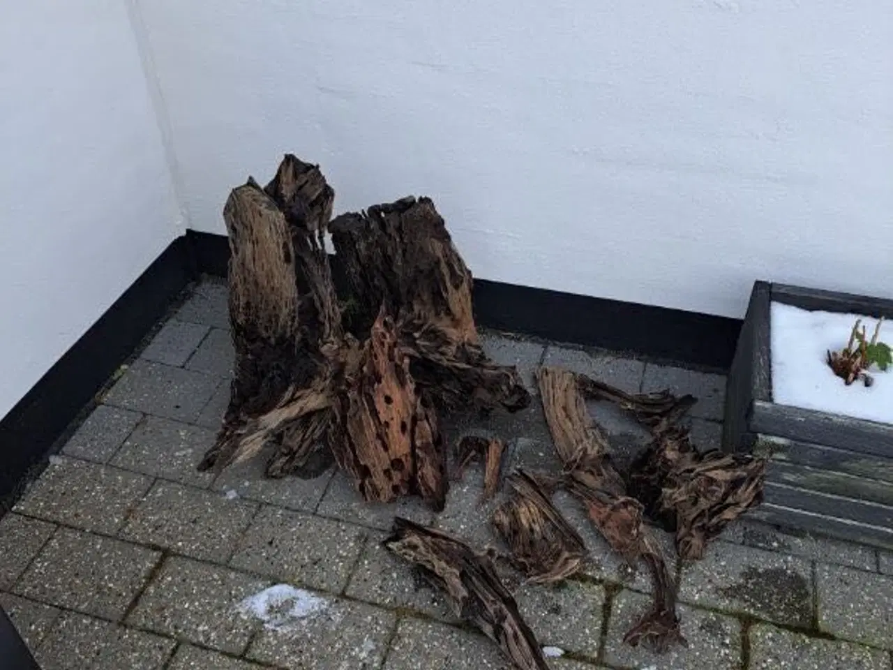 Billede 1 - Trærødder til dekoration