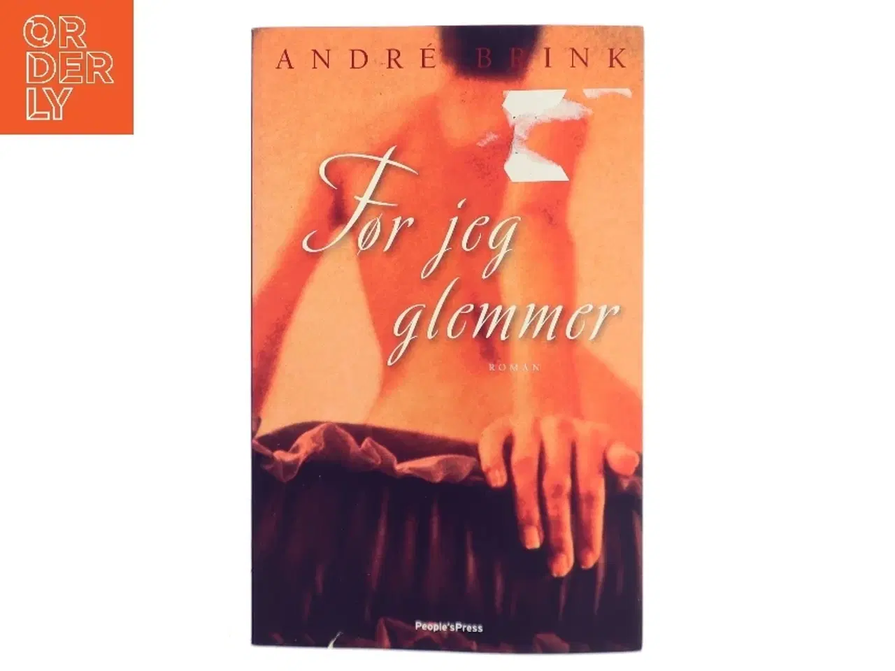 Billede 1 - Før jeg glemmer : roman af André Brink (Bog)