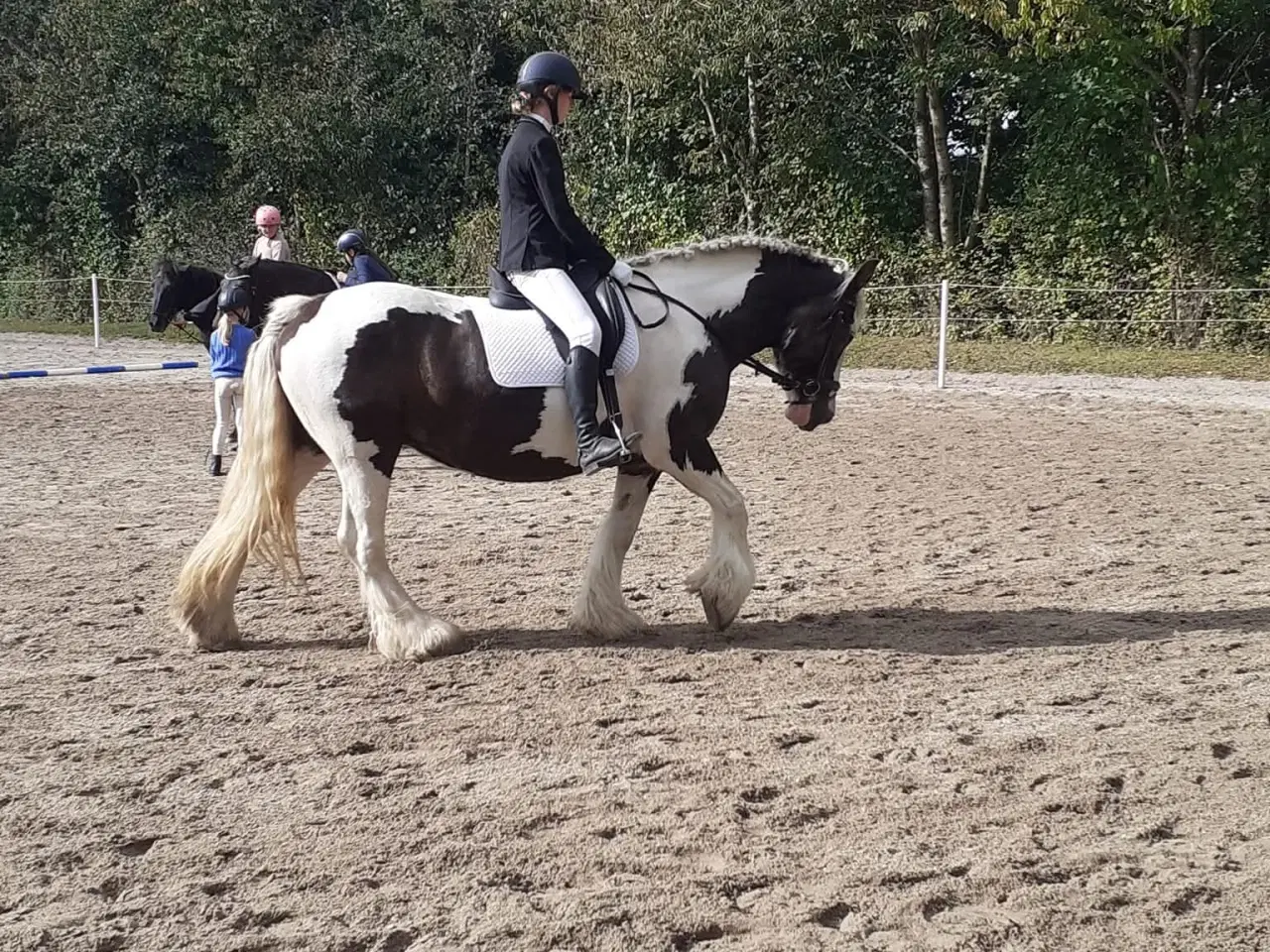 Billede 10 - Tinker hoppe 