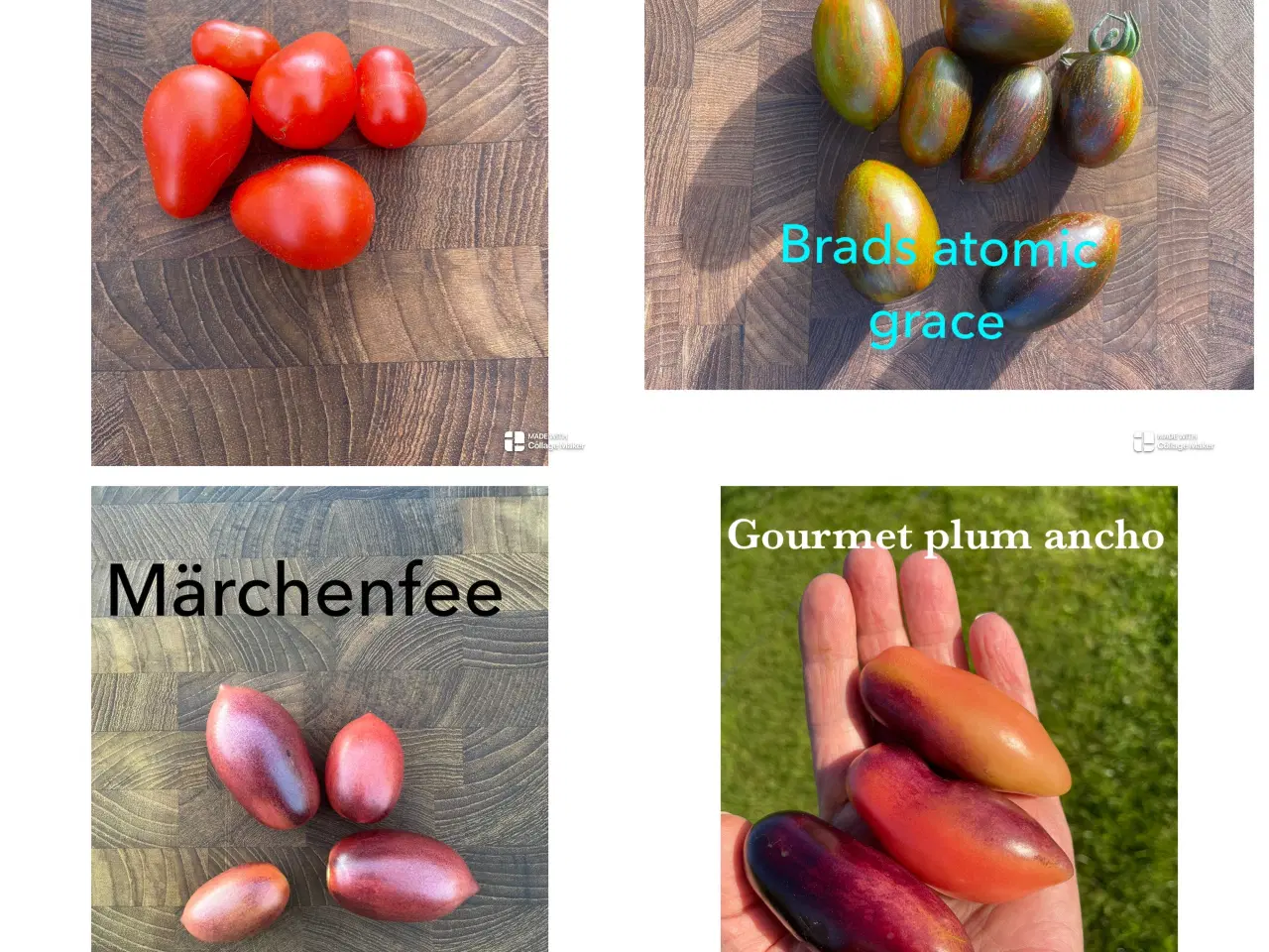 Billede 4 - Økologisk dyrket tomat,chili, peber, melon & agurk