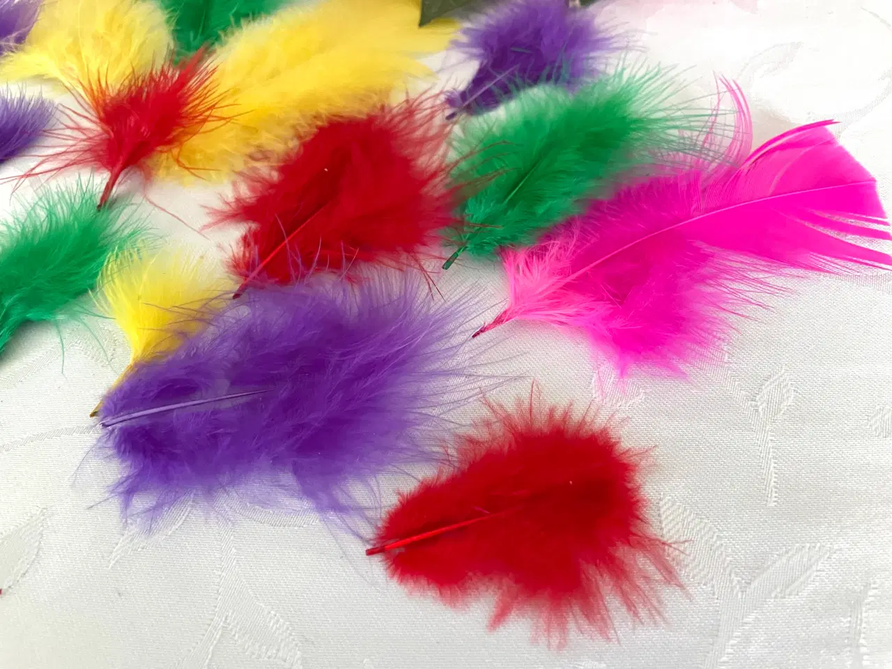 Billede 5 - Blandet fjer 