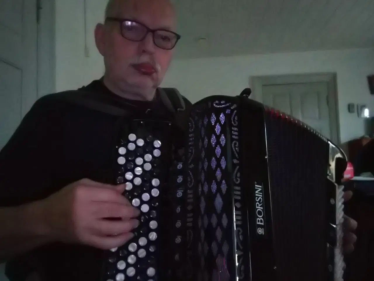 Billede 4 - Harmonika BORSDINI med transporttaske