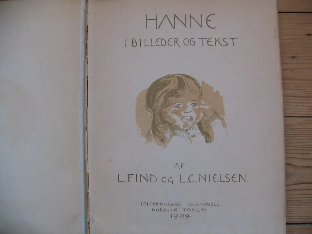 Billede 2 - Hanne I billeder og tekst