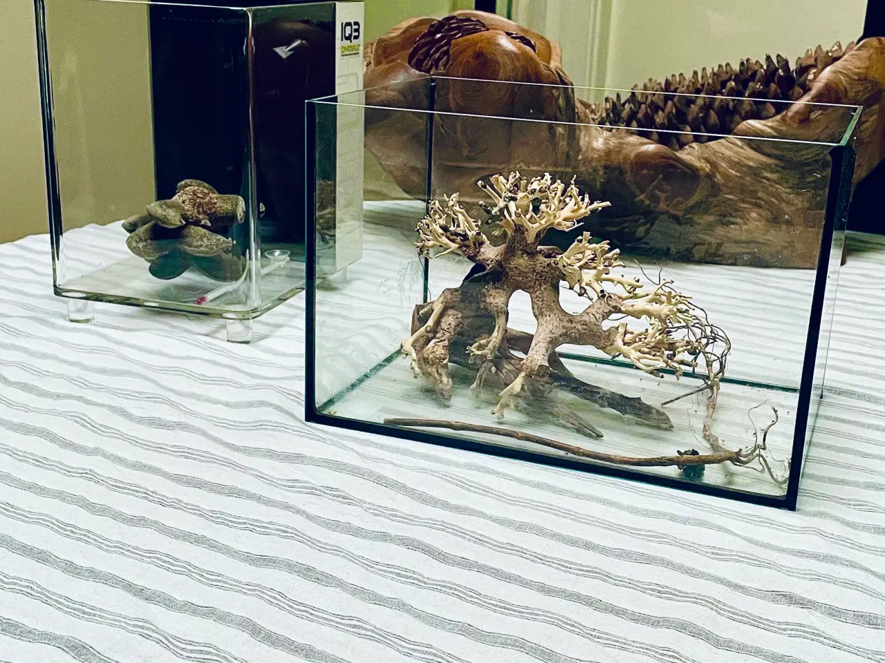 Billede 9 - Glasakvarium 12 l. m/dækglas 30*20*20 cm