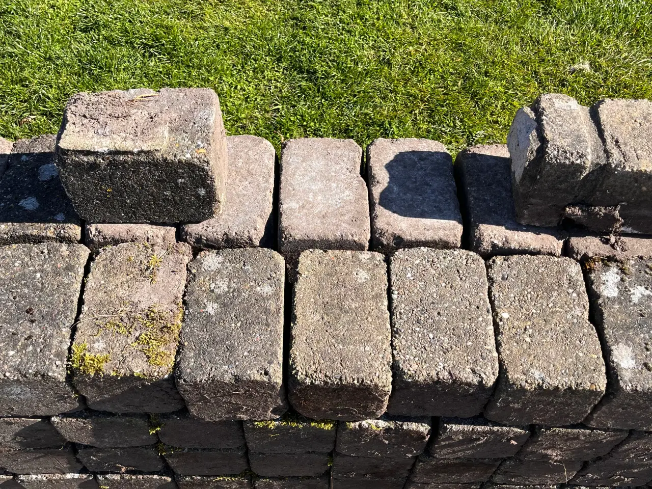 Billede 2 - To slags havesten til afhentning