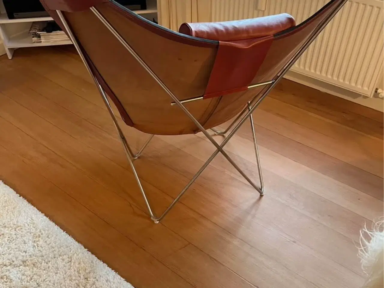 Billede 3 - Flagermusstol 