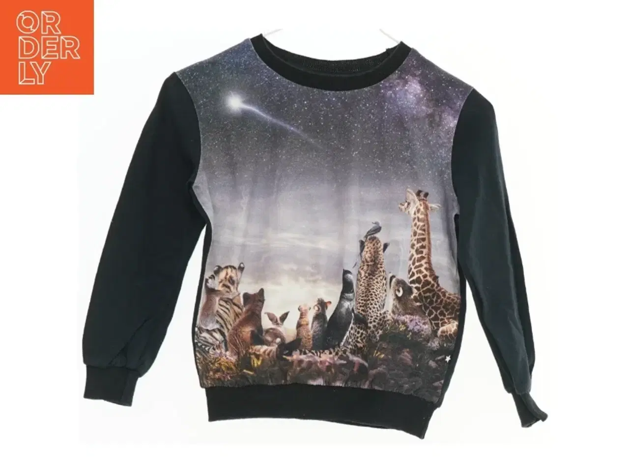 Billede 1 - Sweatshirt med dyremotiv fra Molo (str. 98)