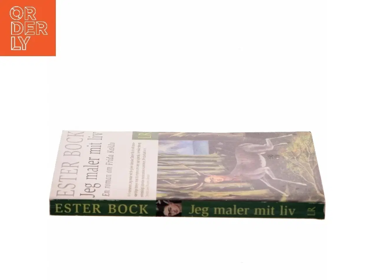 Billede 2 - Jeg maler mit liv : en roman om Frida Kahlo af Ester Bock (Bog)