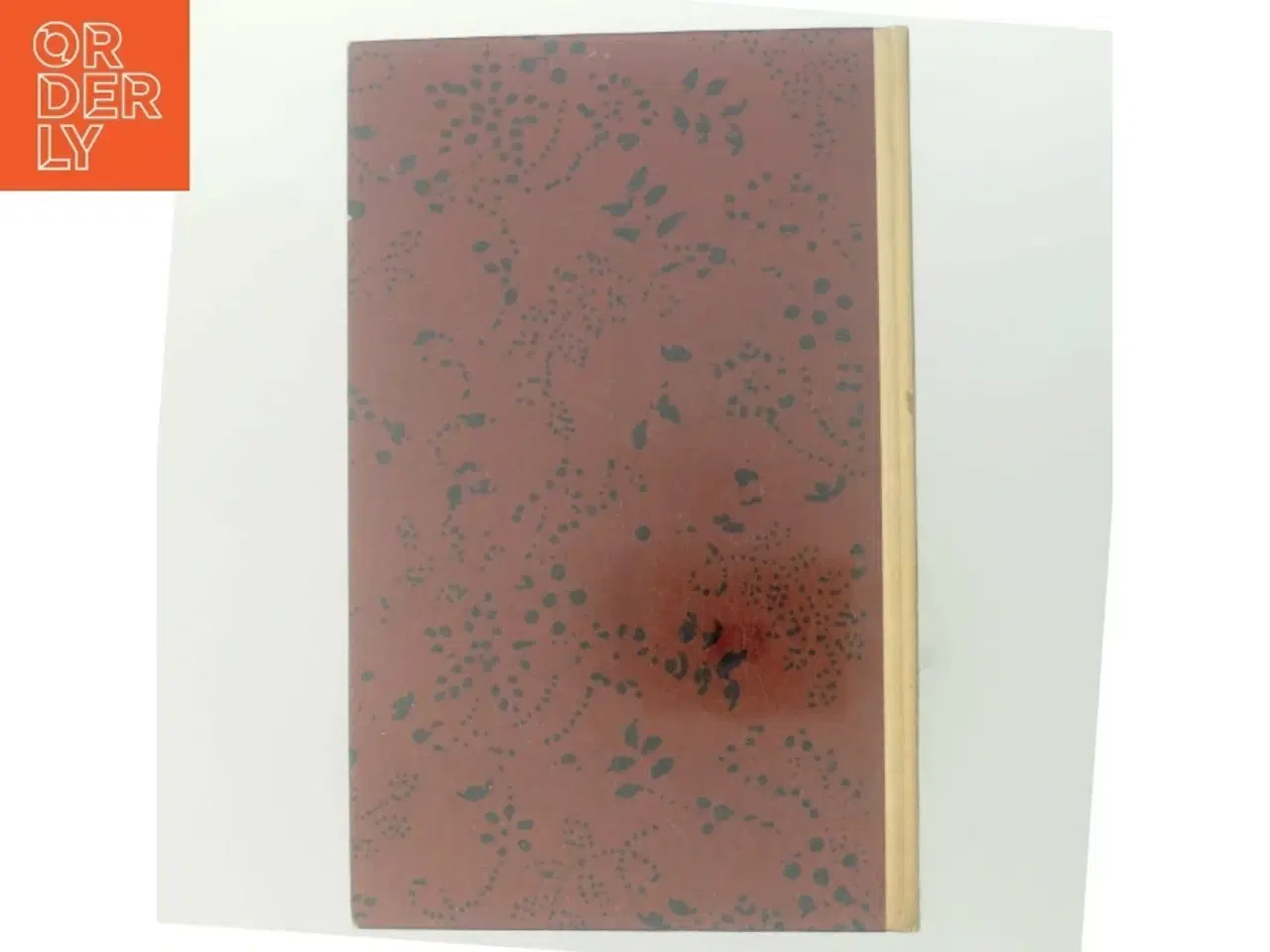 Billede 6 - Spejlet af Edith Pio