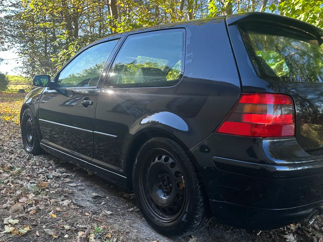 Billede 1 - Golf 4 v5