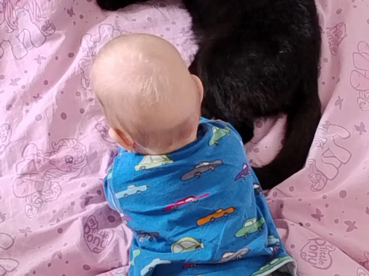 Billede 5 - Sød og nem nussemis 