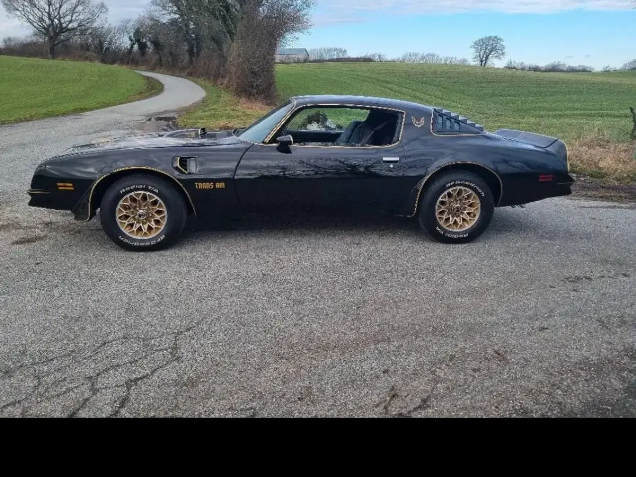 Billede 8 - Pontiac trans am