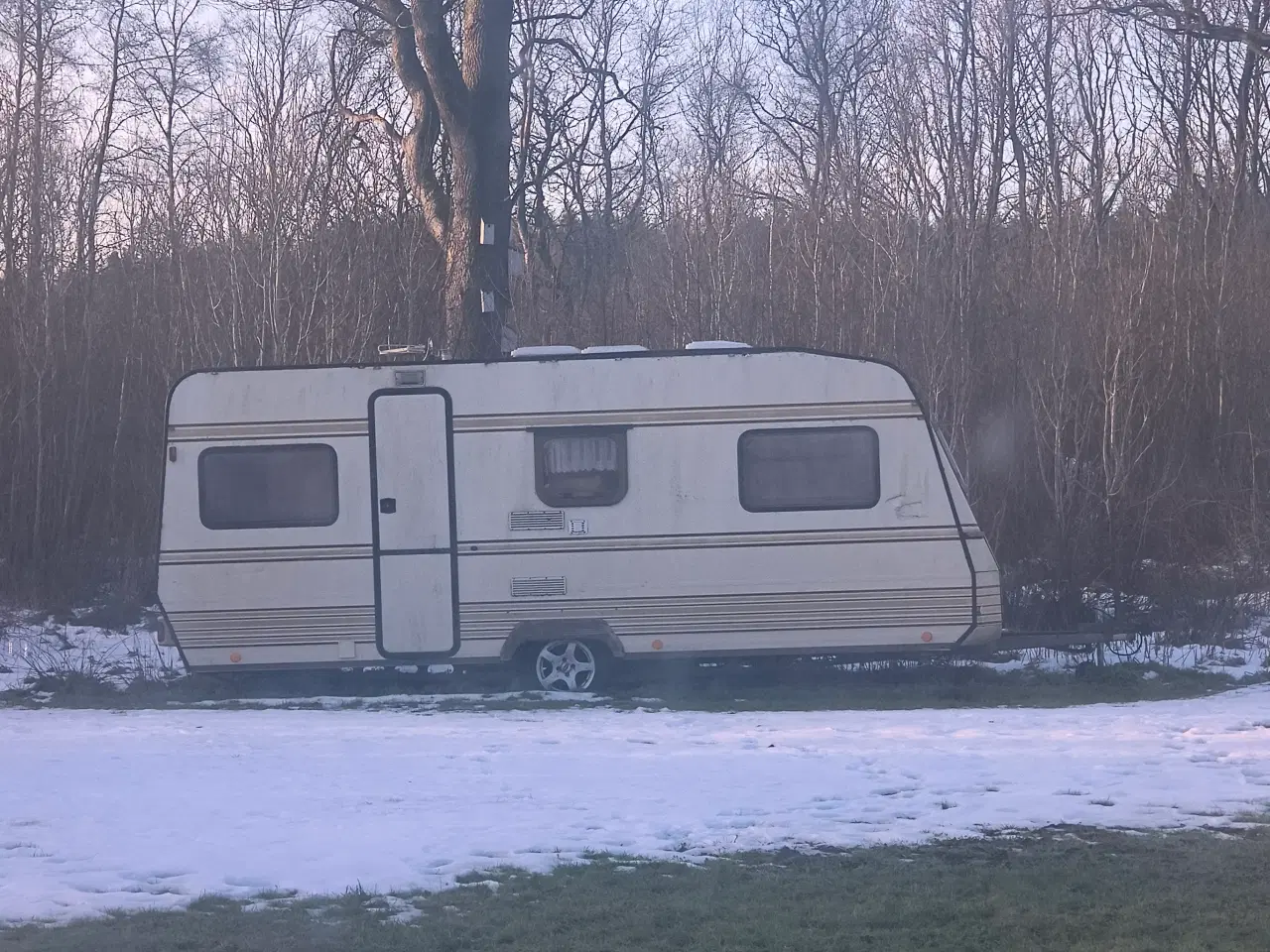 Billede 1 - GRATIS GRATIS 