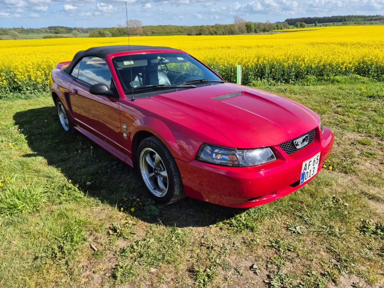 Billede 5 - Ford Mustang 4,6 Cobra SVT Cabriolet