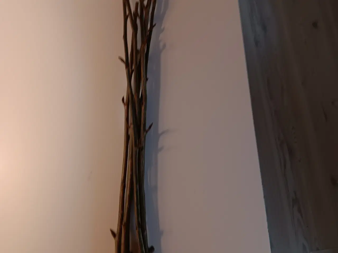 Billede 1 - pil og poppel