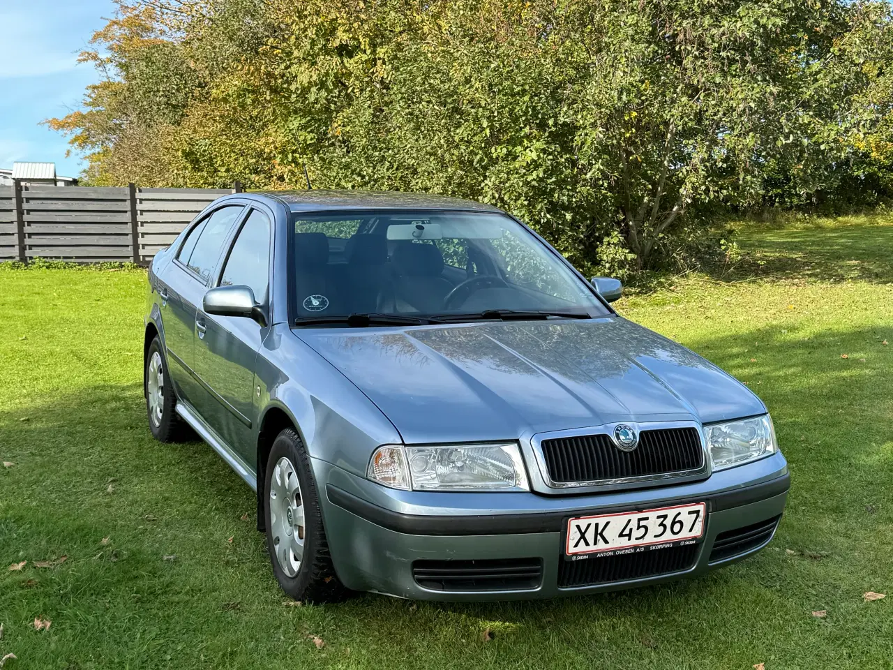 Billede 3 - Skoda Octavia 1,9 tdi diesel nysynet 19 km literen