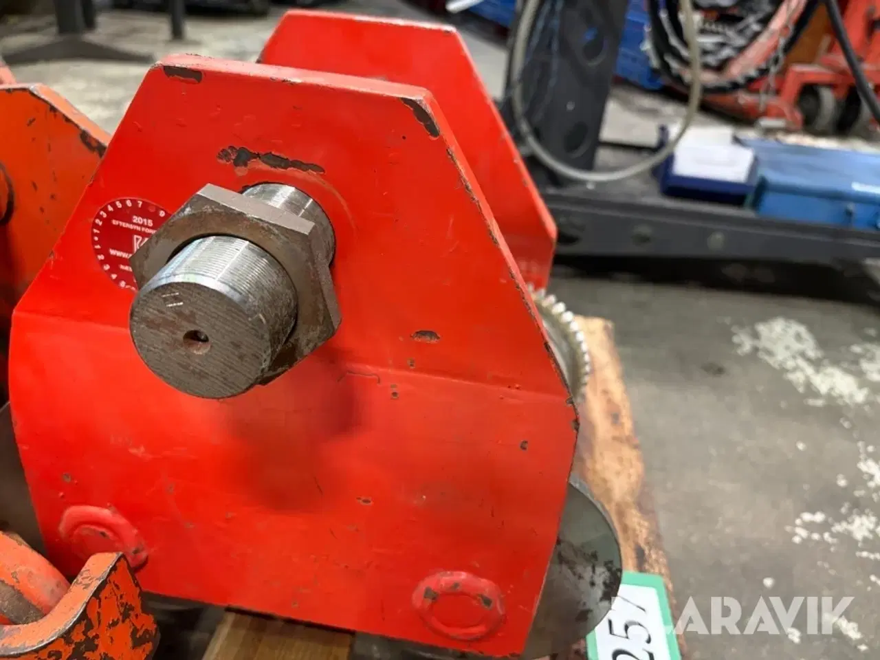 Billede 5 - Løbe katte 3 styk.