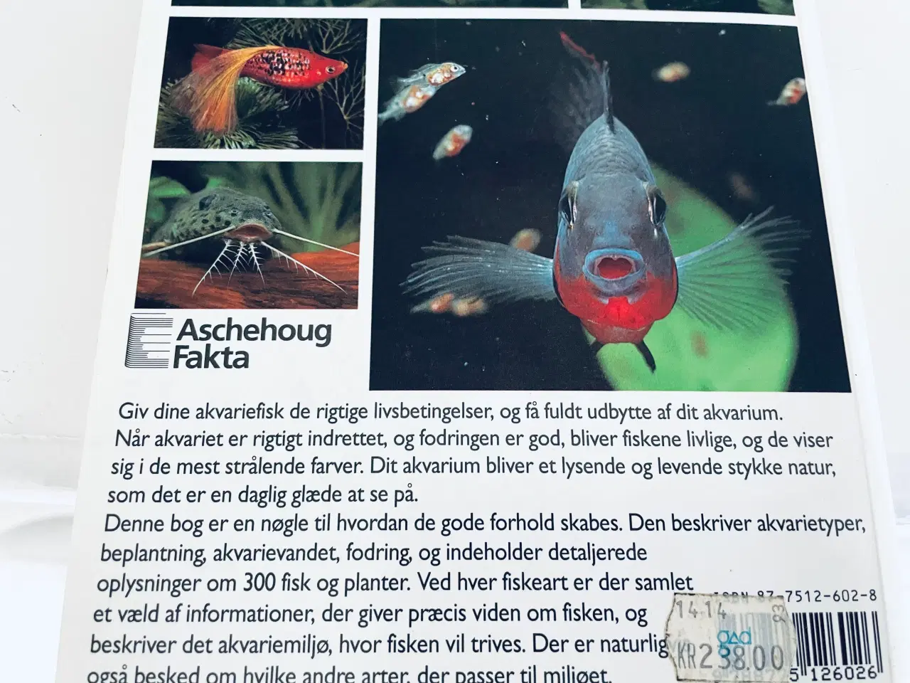 Billede 12 - Akvariefisk / akvarie håndbogen