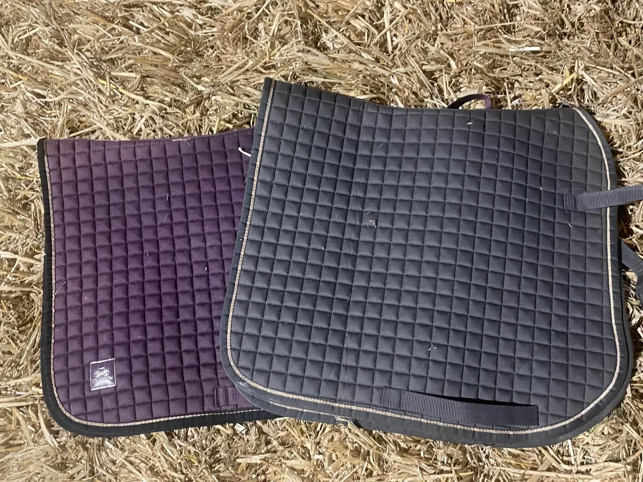 Billede 1 - Eskradon