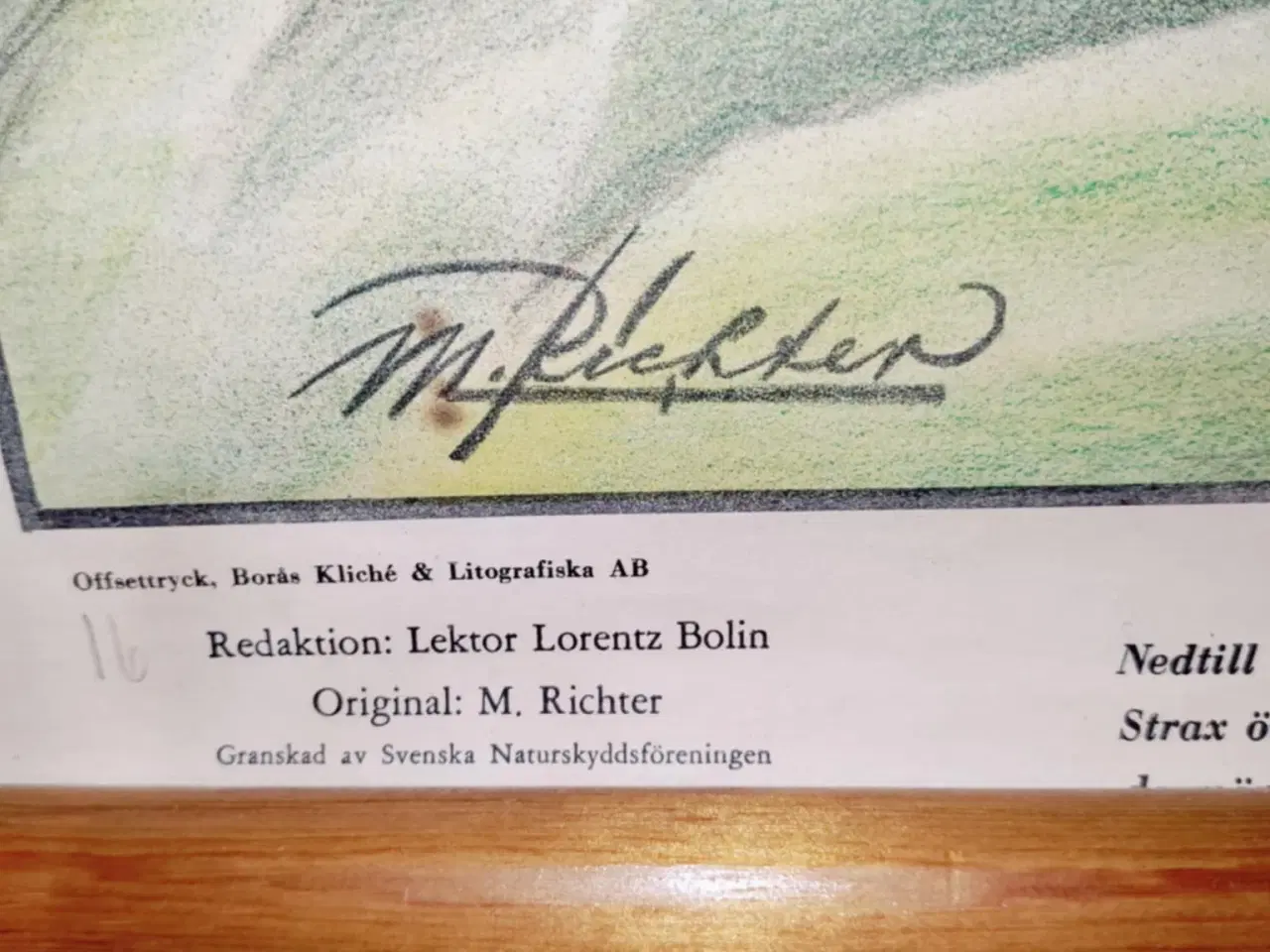 Billede 5 - fedt lille skolekort med sommerfugle