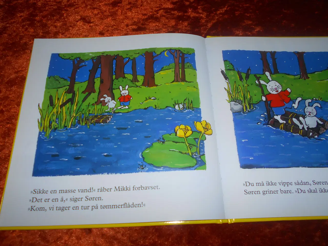Billede 3 - Søren er en helt, Francine Oomen