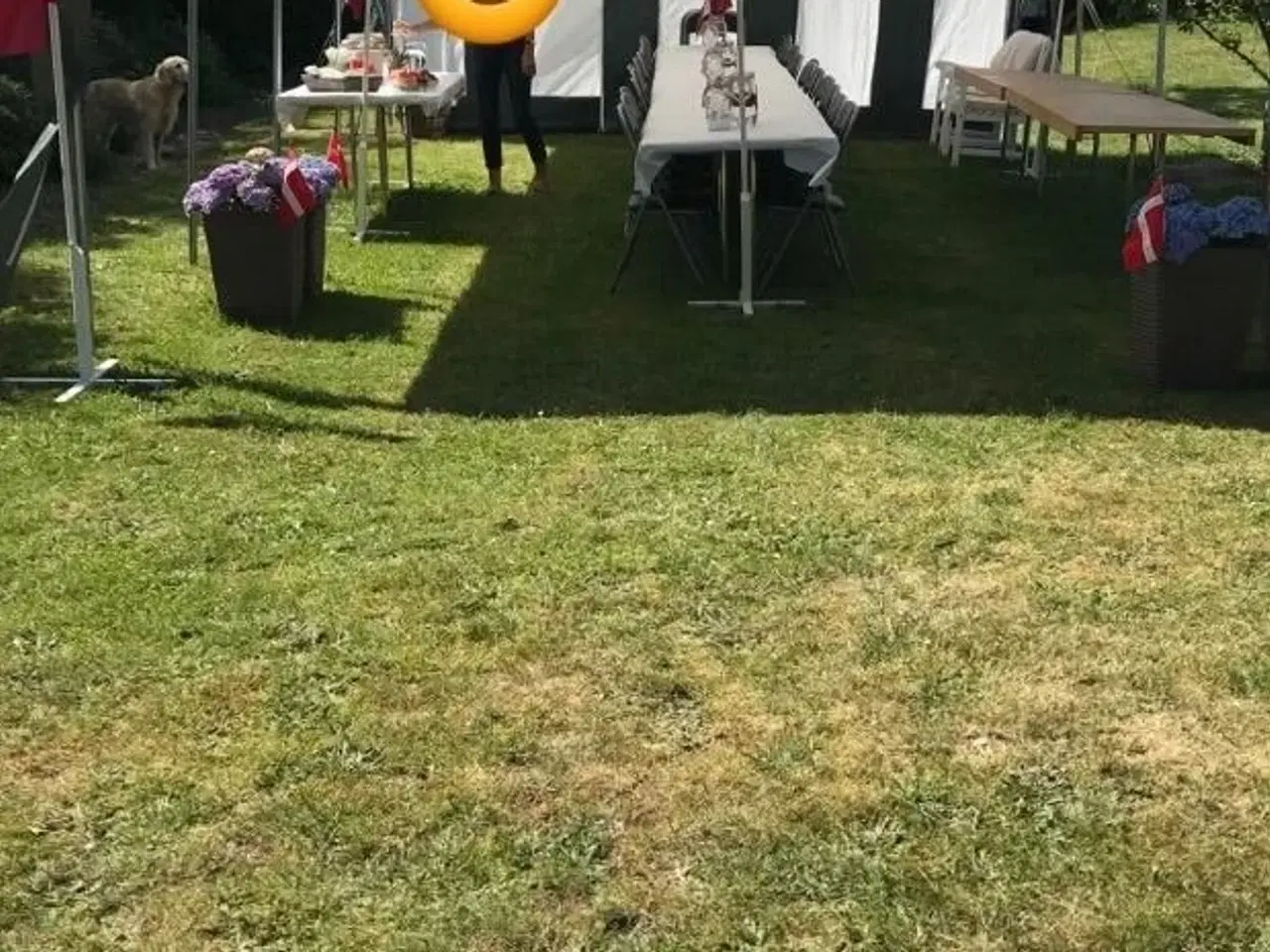 Billede 1 - Partytelt KUN UDLEJNING