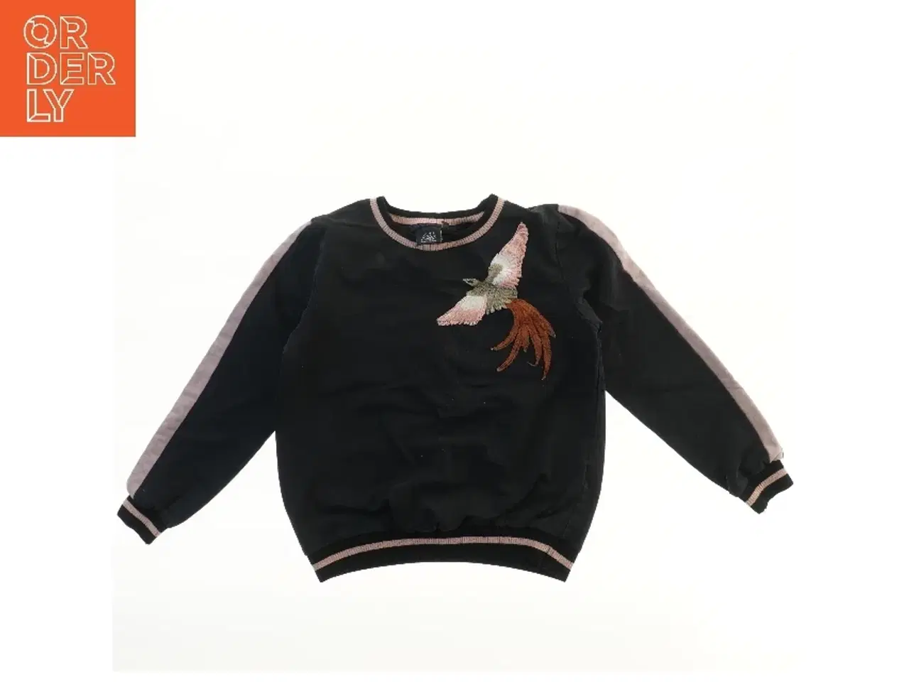 Billede 1 - Sweatshirt med fuglemotiv fra Petit (str. 152)