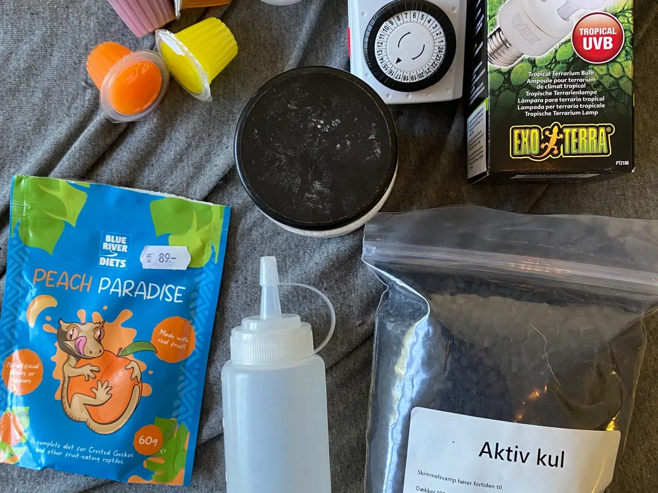 Billede 6 - 2 kronegekkoer, samt deres terrarium, med tilbehør