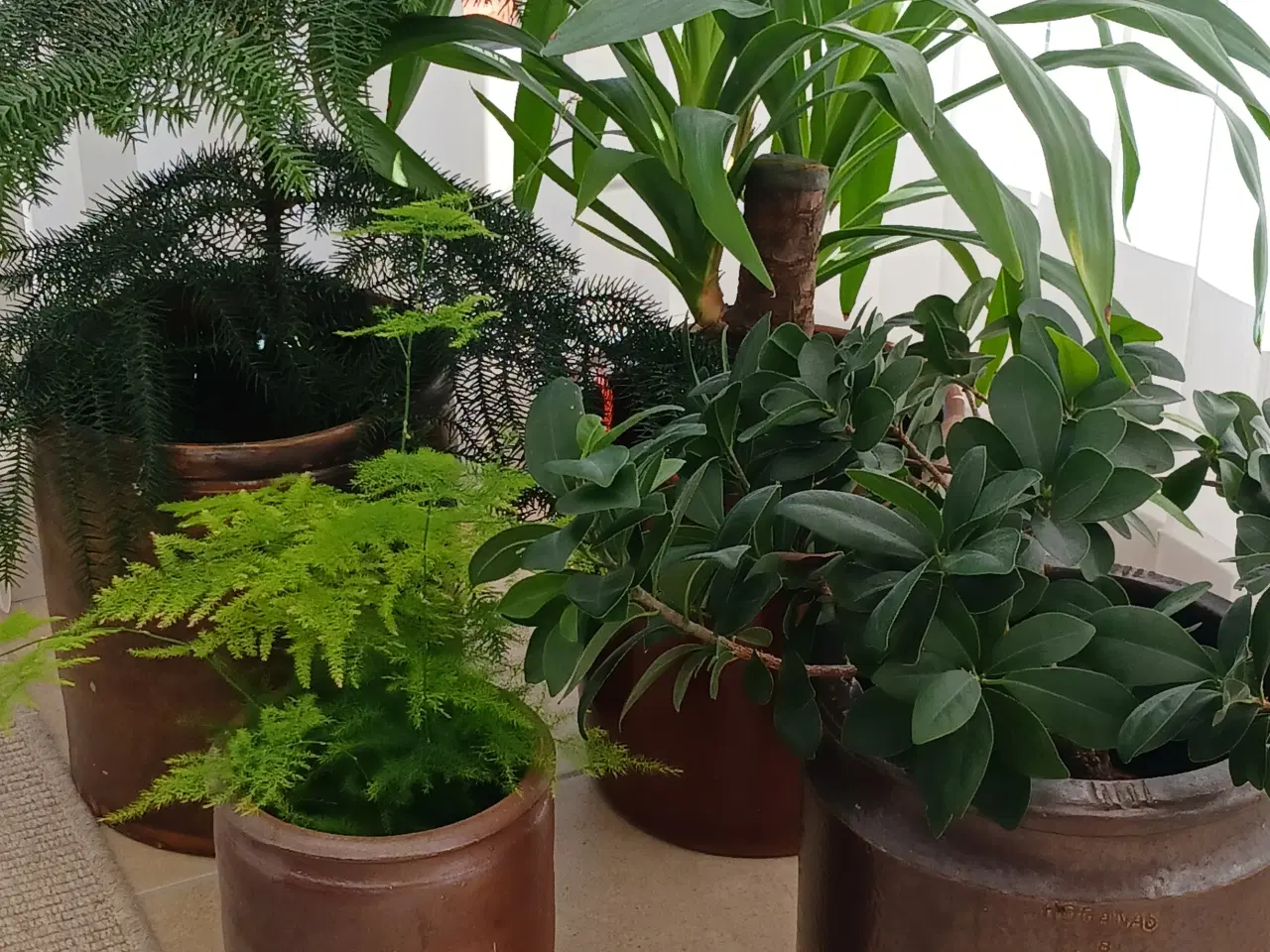 Billede 1 - Syltekrukker Høganæs m.fl.