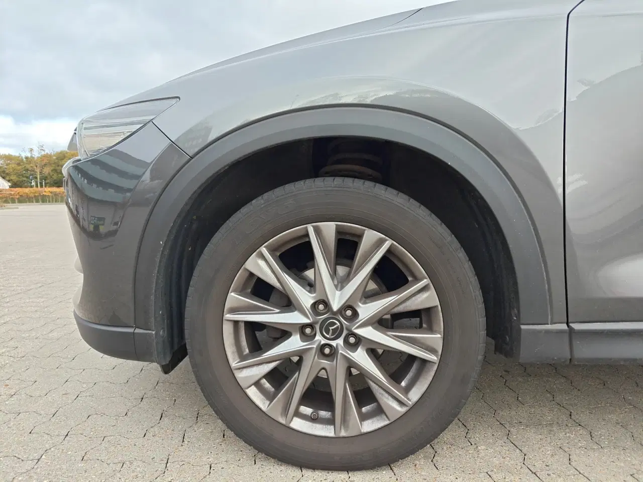 Billede 21 - Mazda CX-5 2,5 SkyActiv-G 194 Cosmo aut.