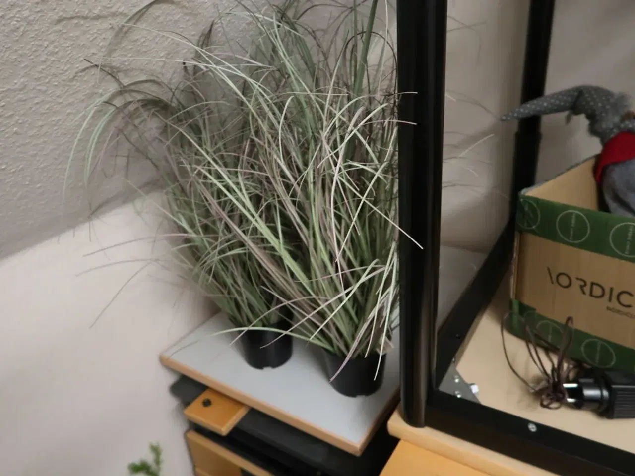 Billede 4 - Div. Julepynt samt kunstige planter