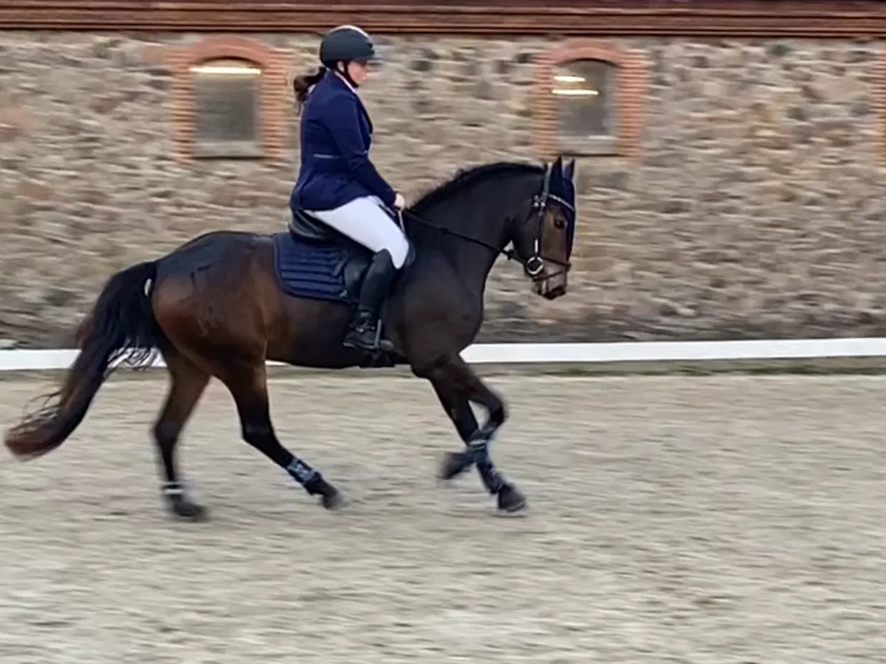 Billede 6 - New Forest 