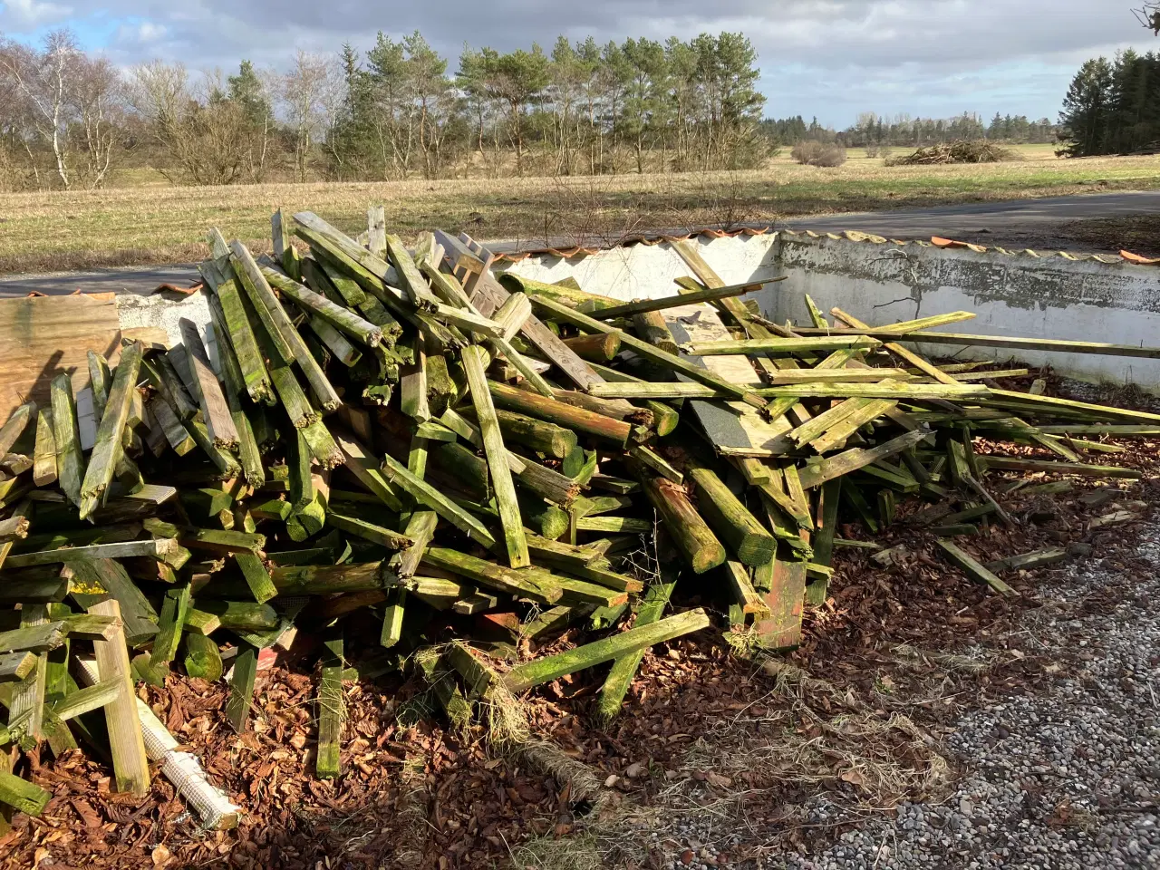 Billede 2 - Affaldstræ - gives væk