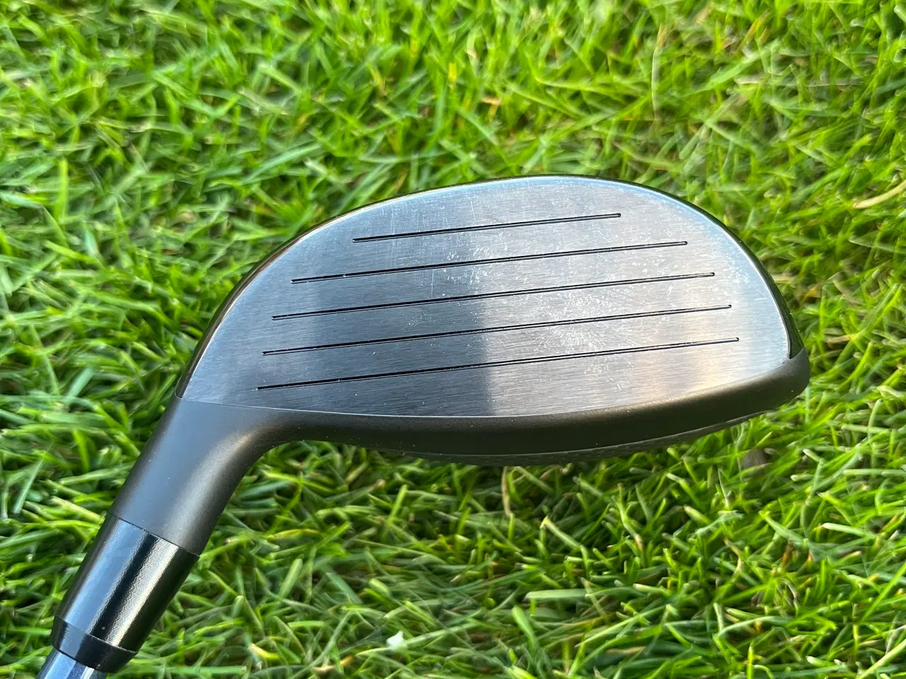 Billede 2 - Haywood 3 wood