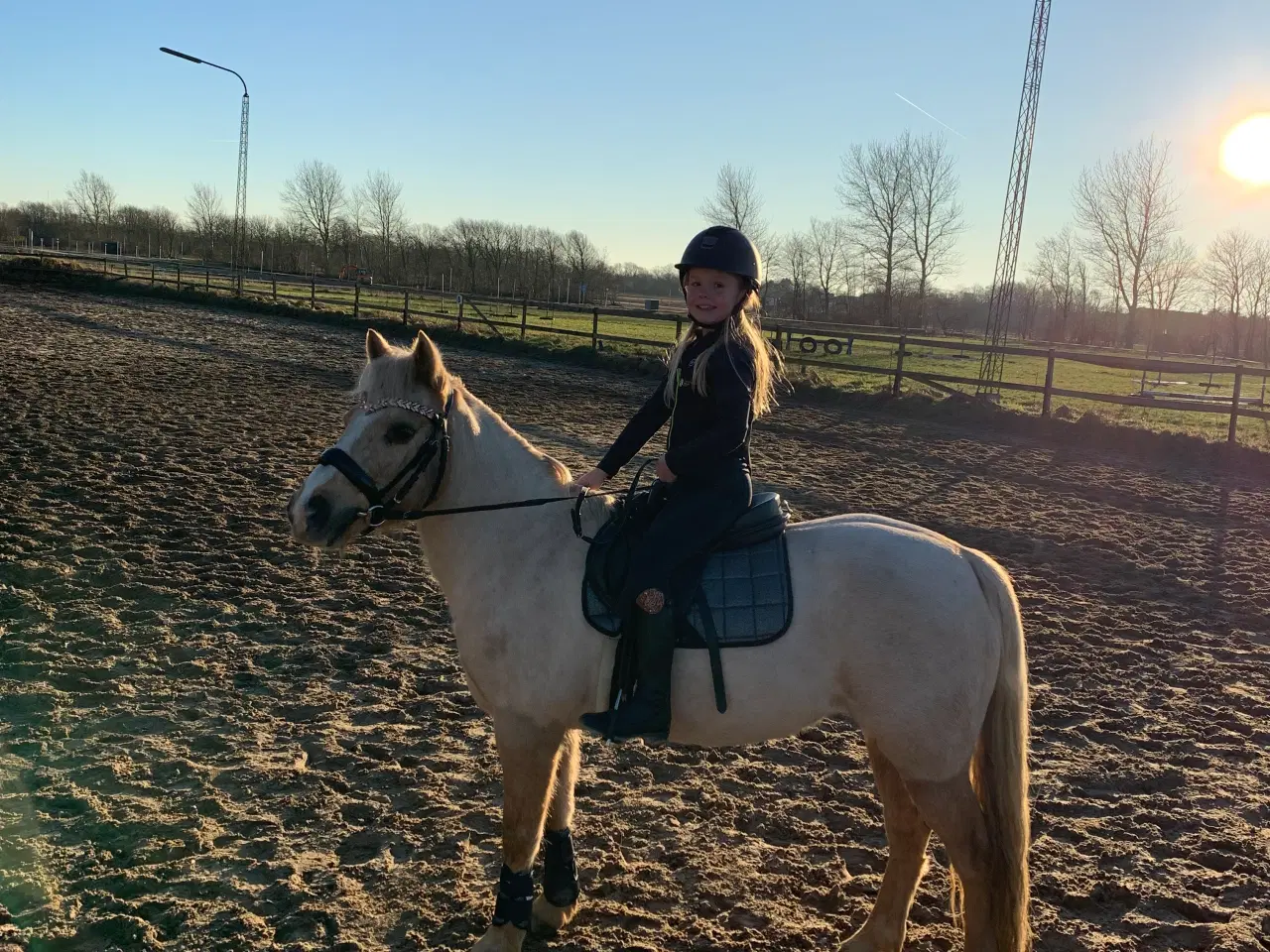 Billede 4 - Børnepony søger nyt hjem 