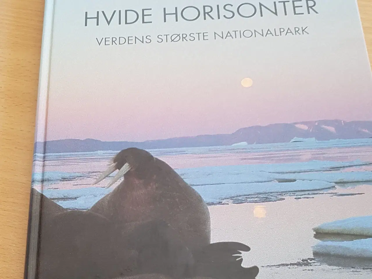 Billede 1 - Ivar Silis: Hvide Horisonter