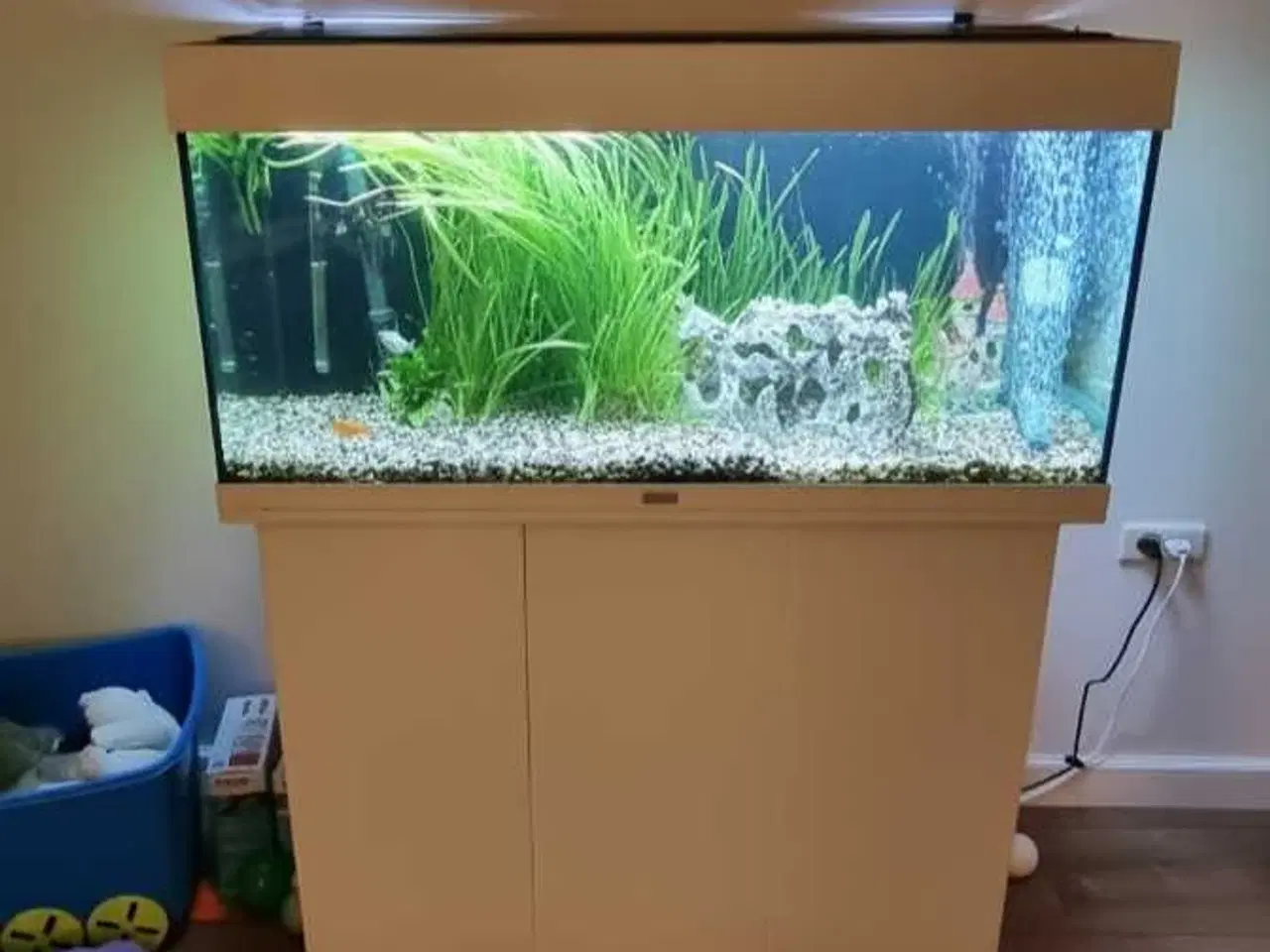 Billede 1 - Juwel 180 liter akvarie med underskab og fuld setu