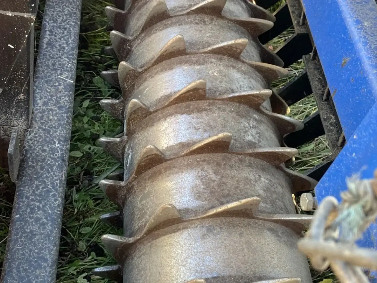 Billede 6 - Maschio 3 meter rotorharve med Fiona såmaskine