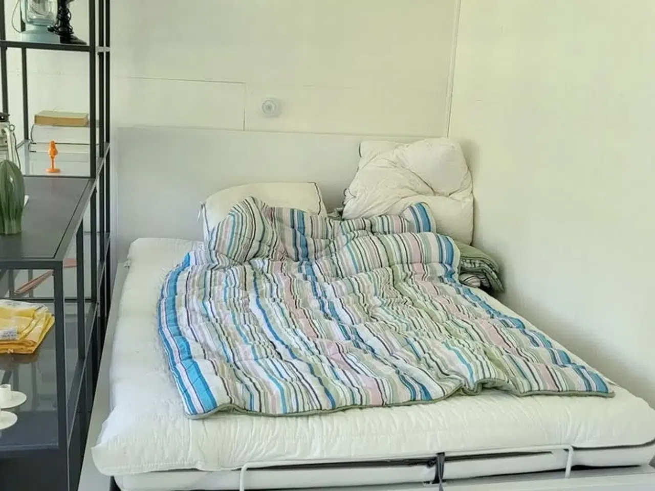 Billede 7 - Solrig kolonihave i Vejle